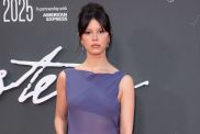 Mia Goth Wows in Bold Purple Sheer Dress