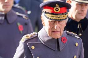 King Charles Looked 'Withered' Amid Brother's Controversy — Expert