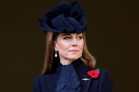 How Kate Middleton Established Herself as 'Key Figure' in Monarchy — Expert