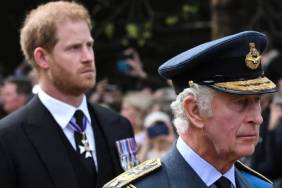 Prince Harry ‘Swore’ at King Charles Because of Money — Source