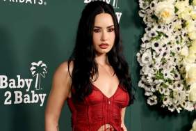 Demi Lovato in Red Dress Has Fans Saying 'Face Card Never Declines'