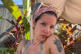 Halsey's Selfie in a Bikini Is Impossible to Ignore