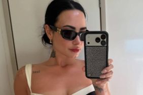 Demi Lovato Tanning in Bikini Is Must See
