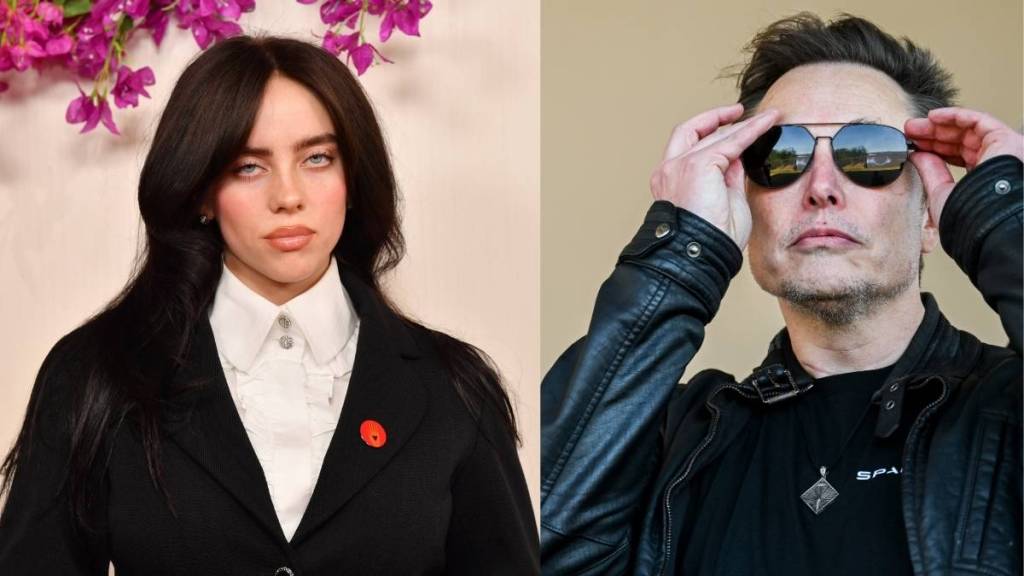 Billie Eilish and elon musk