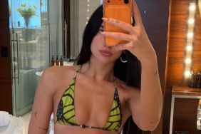Dua Lipa Is a Butterfly in New Bikini Photos