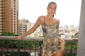 Dua Lipa Lets Out Her Wild Side in Animal Print Sheer Minidress