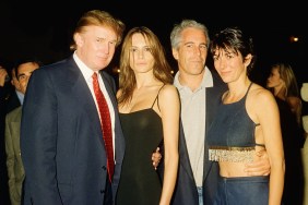 Jeffrey Epstein brother
