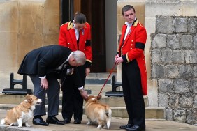 Queen Elizabeth corgis Andrew