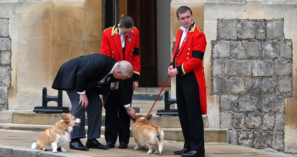 Queen Elizabeth corgis Andrew