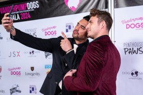 Marciano Brunette Demi Engemann