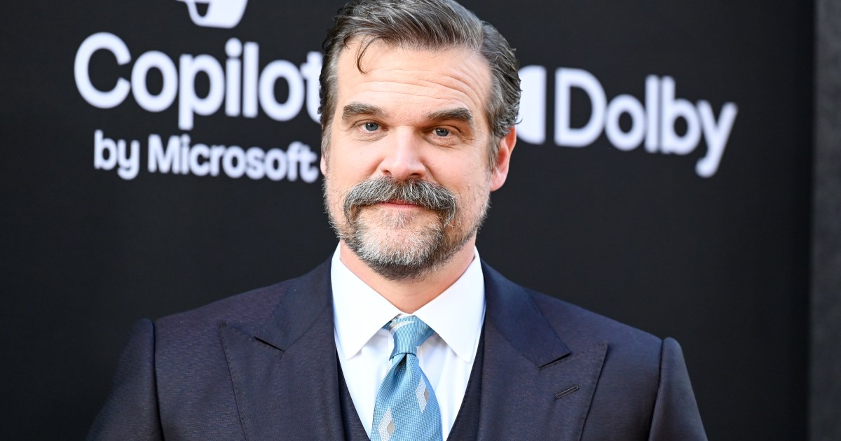David Harbour's Past Comments About 'Special' Millie Bobby Brown Resurface Amid Harassment Claims
