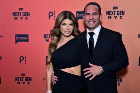 Teresa Giudice and her second husband Luis