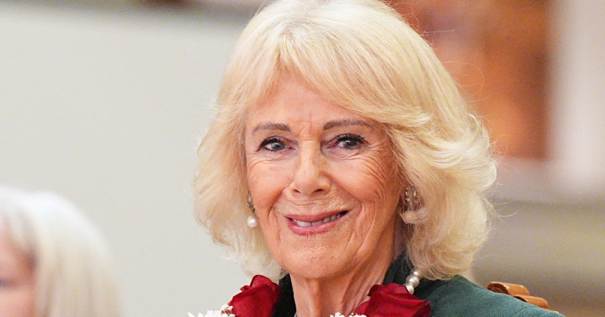 Queen Camilla 'Really Riled' After Andrew Mountbatten Windsor's Statement - Palace Insider