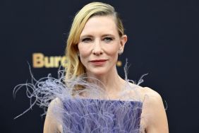 Cate Blanchett's Sheer Dress Is Made of Shocking Material