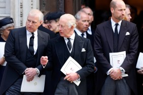 King Charles and Prince William