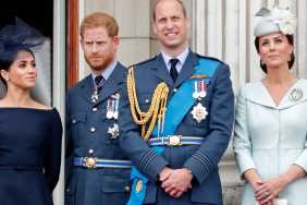 Meghan Prince Harry Prince William and Catherine