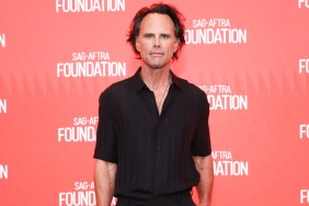 Walton Goggins Going Nude For GQ Magazine Was 'His Idea' — Source