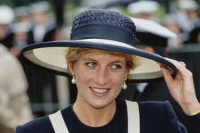 Princess Diana aide