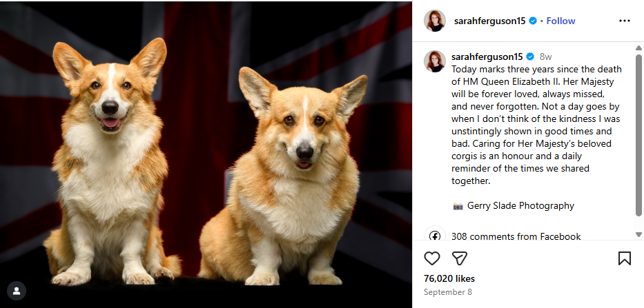 Queen Elizabeth corgis Andrew