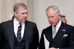 Prince Andrew’s Title Removal Common Royal Family Consensus — Source