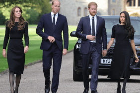 Prince William's Advice on Meghan Markle Upset Prince Harry — Expert