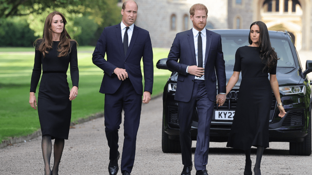 Prince William's Advice on Meghan Markle Upset Prince Harry — Expert