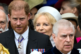 Prince Harry Supports King Charles on Uncle’s Title Removal — Report