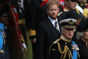 Prince Harry Lost UK Home Over Remarks About Queen Camilla — Sources