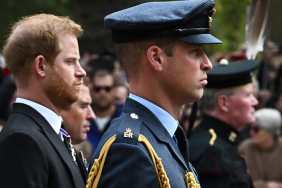 Prince Harry & Prince William on Completely Different Paths — Expert