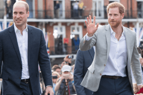 Proof Prince Harry Didn't Upstage Prince William's Royal Engagement — Source