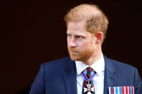 Prince Harry Has Reasons Behind Coaxing His Sisters To Move to US — Source