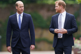 Prince Harry Declares War on Prince William with This — Source