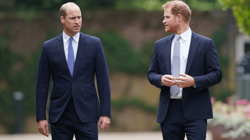 Prince Harry Declares War on Prince William with This — Source