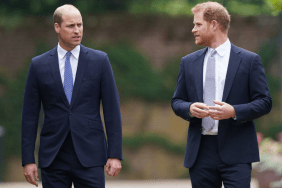 Prince Harry Wanted Money From Prince William for Mother’s Ring — Source