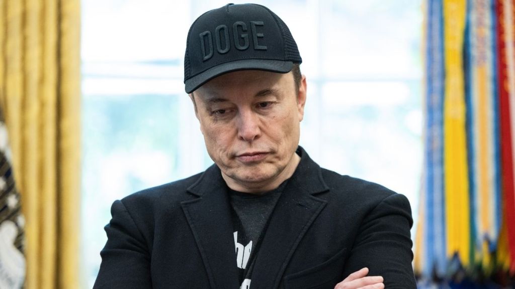 Elon Musk Gets Roasted on His Platform By an Author