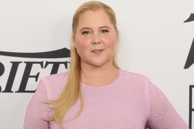 Amy Schumer & Husband Are Only Battling ‘Normal Issues’ — Source