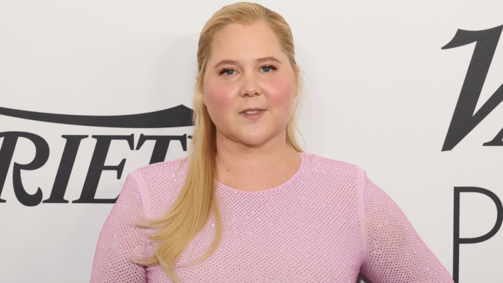 Amy Schumer & Husband Are Only Battling ‘Normal Issues’ — Source