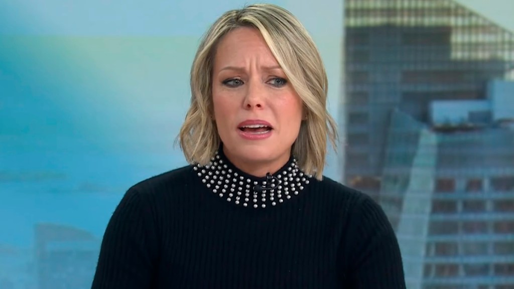 Dylan Dreyer Separation Divorce Today Show Brian Fichera Details