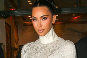 elephant birkin bag kim kardashian