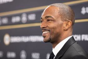 Anthony Mackie's Recent Fan Interaction Receives Mixed Reaction