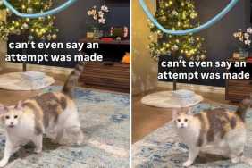 Kelly Rowland's Cone Bra Look Will Have You Sweating