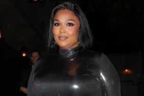 Lizzo uploaded pictures to her Instagram account in a bold top that amazed her fans.