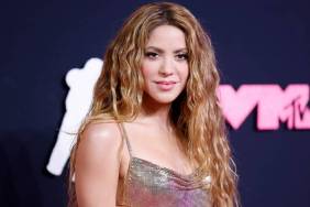 Shakira Turns Heads in Sheer Cutout Dress With Sky-High Slit