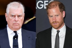 Prince Harry & Ex-Prince Andrew Get Brutal Nickname by Palace Aides — Report