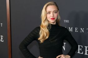Amanda Seyfried’s Black Dress Is Layered With Delicate Sheer Panels