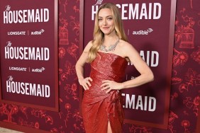 Amanda Seyfried's Daring High-Slit Gown Commands Attention