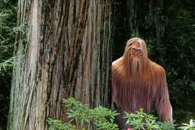 Bigfoot Has Been Seen in 2025, but There’s a Catch