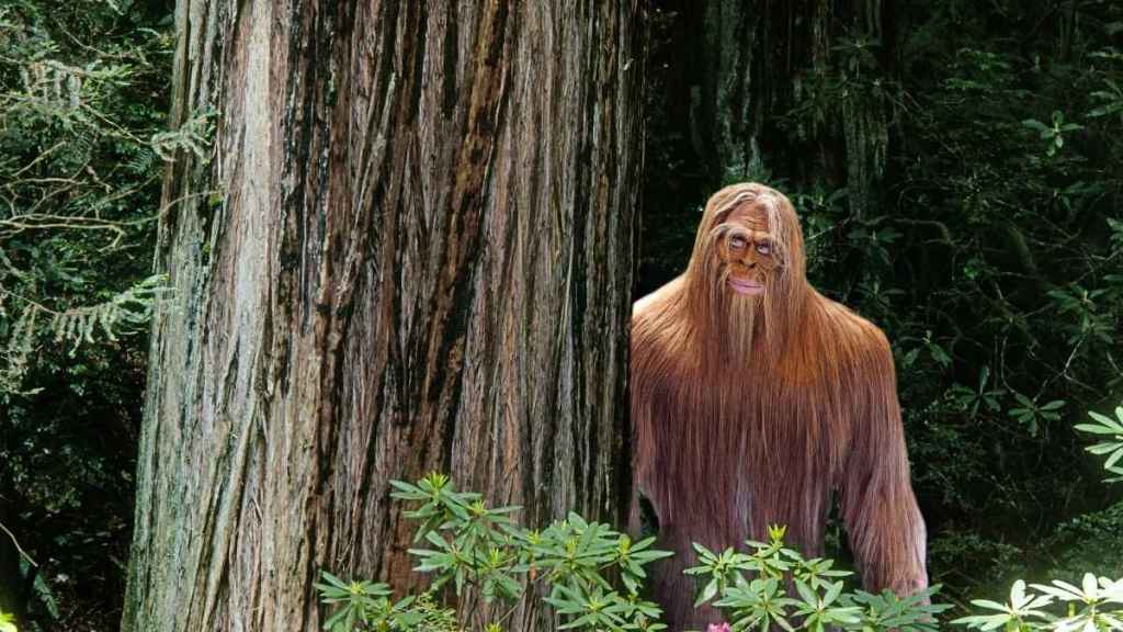 Bigfoot Has Been Seen in 2025, but There’s a Catch