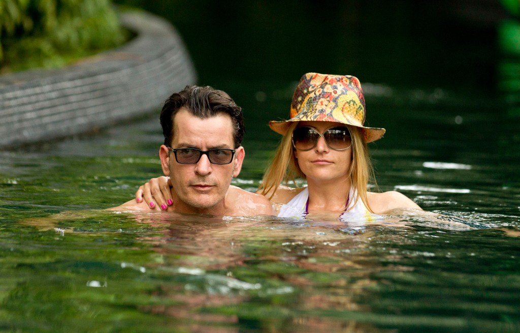 Charlie Sheen and Brooke Mueller 