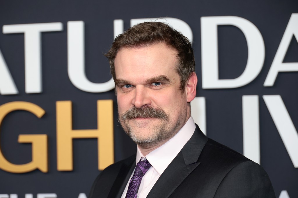 David Harbour Stranger Things finale